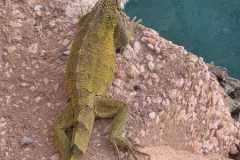 WhatsApp-Image-2025-10-23-at-23.05.1910