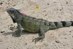 WhatsApp-Image-2025-10-23-at-23.05.192-1