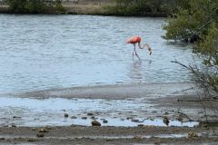 WhatsApp-Image-2025-10-23-at-23.12.231-1