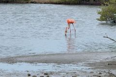 WhatsApp-Image-2025-10-23-at-23.12.24