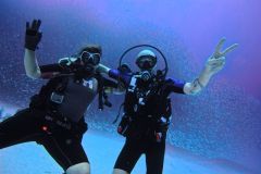 WhatsApp-Image-2025-10-23-at-23.25.531