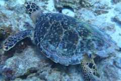 WhatsApp-Image-2025-10-24-at-17.52.38