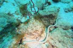 WhatsApp-Image-2025-10-25-at-22.23.07-1