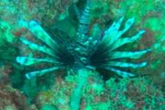 WhatsApp-Image-2025-10-27-at-02.13.25-1