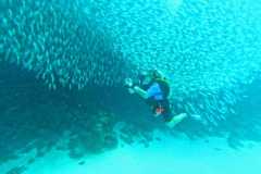 WhatsApp-Image-2025-10-27-at-02.15.46-1