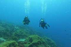 WhatsApp-Image-2025-11-27-at-19.49.04